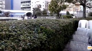 欧美性色A片免费免费观看的⭕❌❌⭕久久久久国产成人精品亚洲午夜,成人免费毛片一区二区三区,国产成人久久精品激情91,国产成人无码精品久久久免费